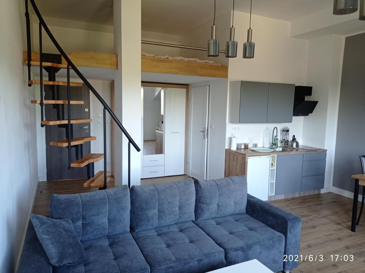Kasztanowa Apartment *