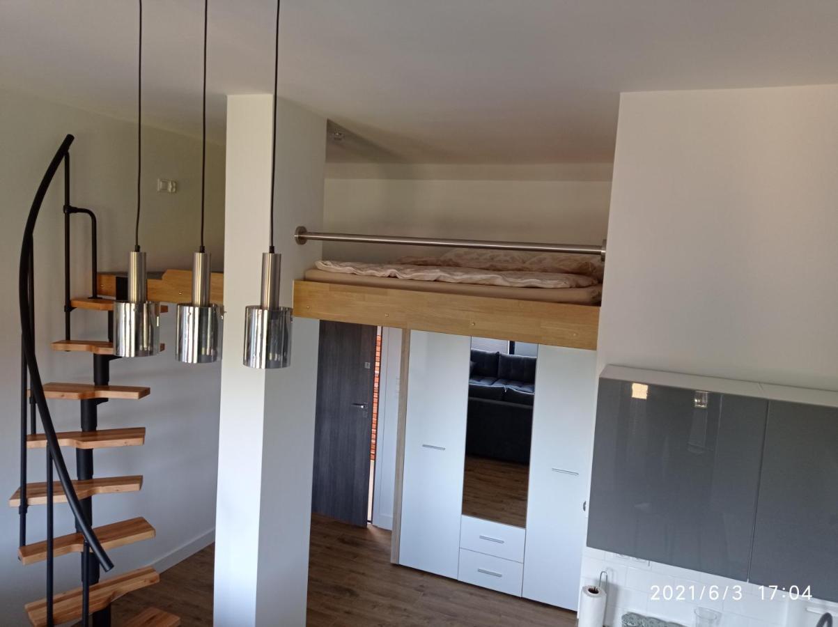 Kasztanowa Apartment *